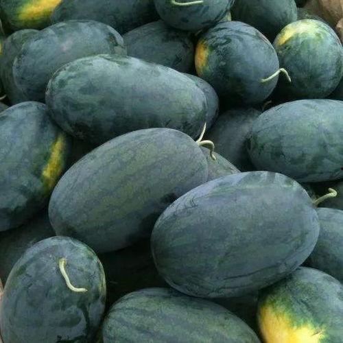 51黑料吃瓜热门吃瓜校园露,51黑料揭秘，热门吃瓜事件校园版