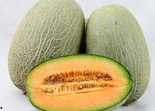 越吃越多的黑料瓜,揭秘越吃越多的神秘魅力